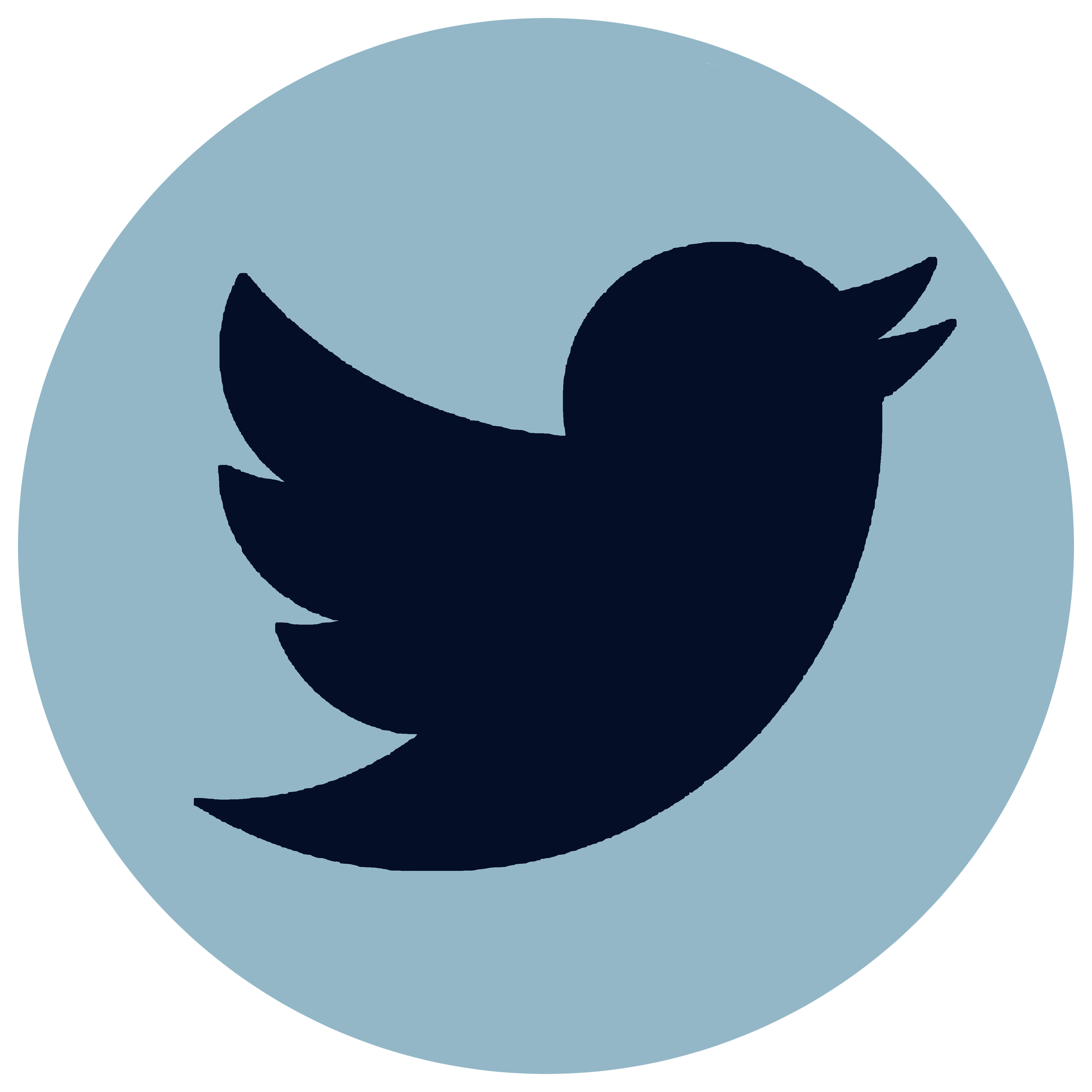Twitter (X)